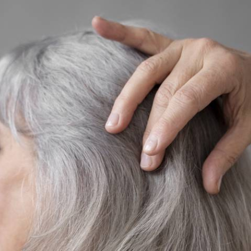 Cabello gris o con canas