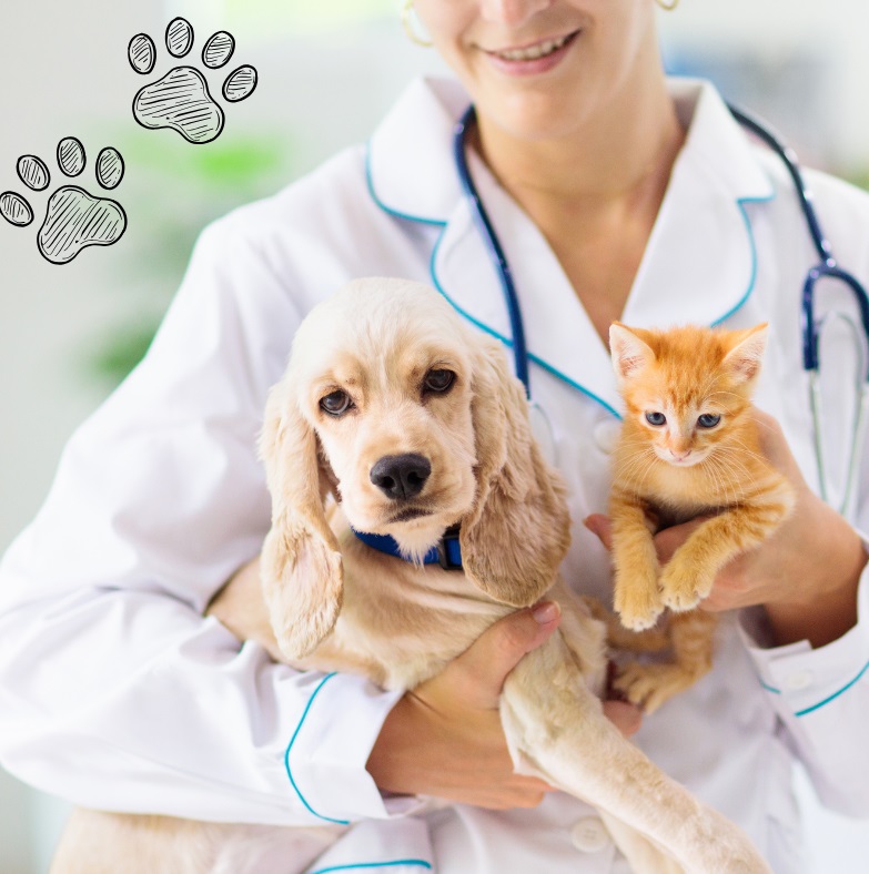 VETERINARIA