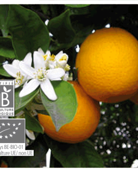 ACEITE ESENCIAL NARANJA DULCE 10ML - Pranarom