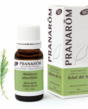 ACEITE ESENCIAL ÁRBOL DE TÉ - Pranarom