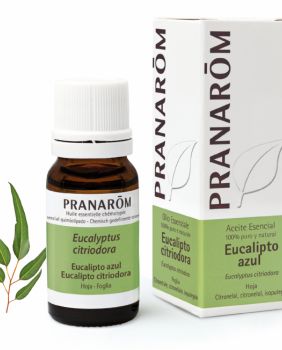 ACEITE ESENCIAL EUCALIPTO AZUL - Pranarom