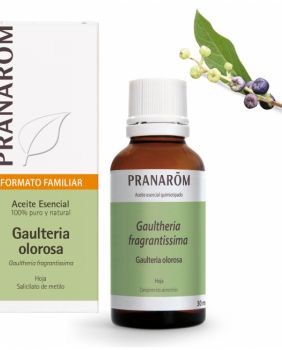 PRANAROM ACEITE ESENCIA GAULTERIA OLOROSA 30ML