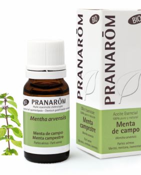 ACEITE ESENCIAL MENTA DE CAMPO - Pranarom